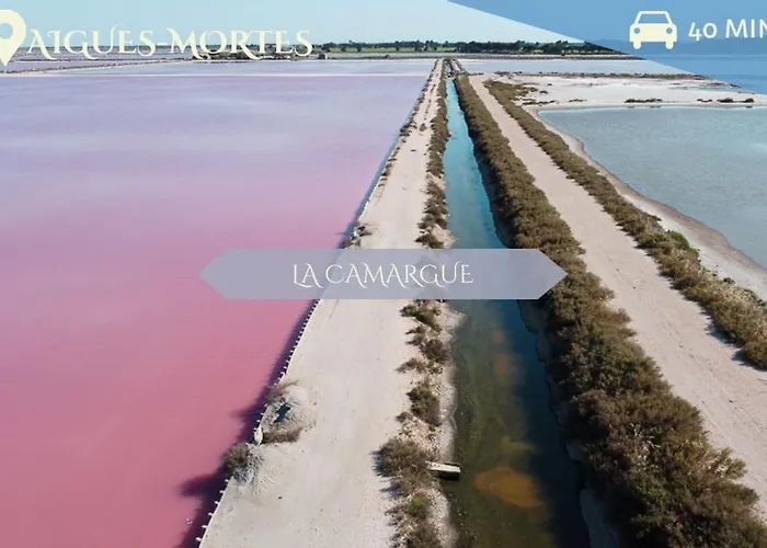 041 - Le Chateau D'o, 4pers, Parking, Proche Faculte De Medecine *